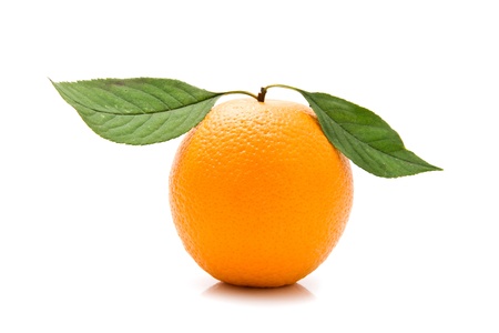 orange on a white backgroundの写真素材