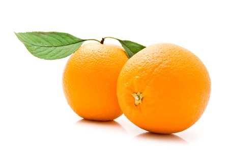 orange on a white backgroundの写真素材