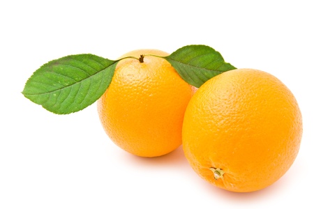 orange on a white backgroundの写真素材