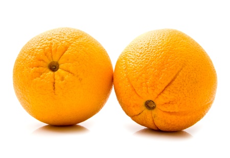 orange on a white background の写真素材