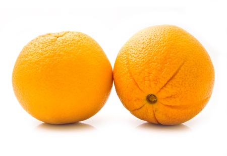 juicy oranges on a white background の写真素材