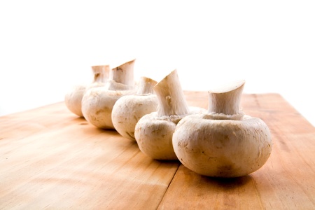 mushrooms on a white background
の写真素材