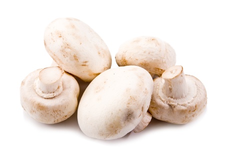 mushrooms on a white backgroundの写真素材