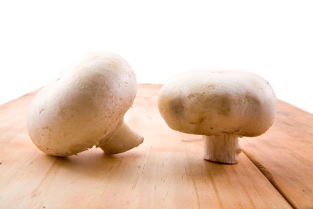 mushrooms on a white background 
の写真素材