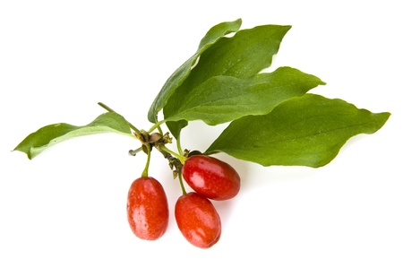 kizil on a white backgroundの写真素材