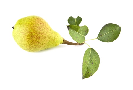 pear on a white backgroundの写真素材