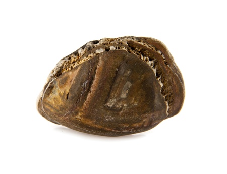stone on a white background