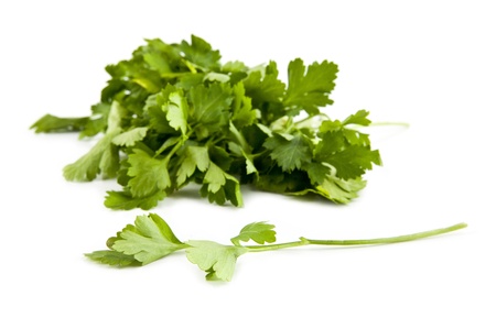 parsley on a white backgroundの写真素材