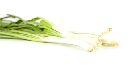 onions on a white backgroundの写真素材