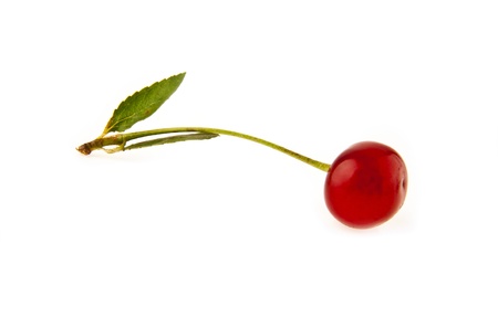 cherry on a white backgroundの写真素材
