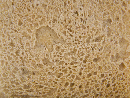 background of crust of bread