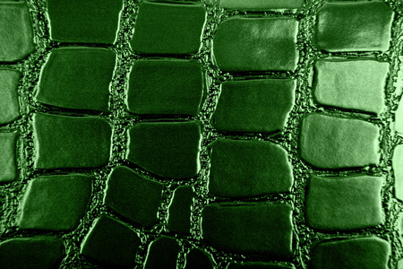 green alligator patterned backgroundの写真素材