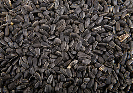 pips of sunflower as background