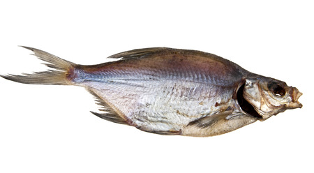 dried fish on a white background