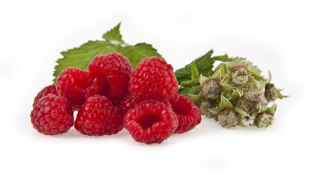 raspberry on a white background