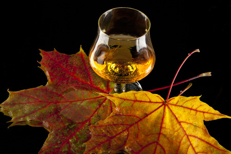 cognac and leaves on the black background of .fotografiya from series.の写真素材