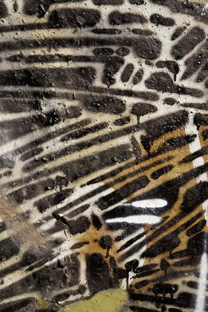 abstract picture on a wall as a backgroundの写真素材