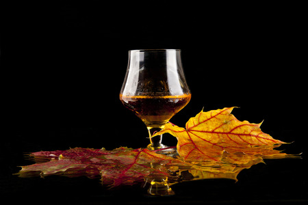 cognac and leaves on the black background .fotografiya from series.の写真素材
