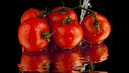 photo tomatoes with drops of water on a black backgroundの写真素材