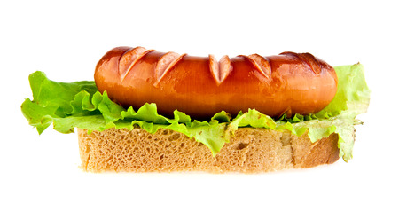 sausages on a white backgroundの写真素材