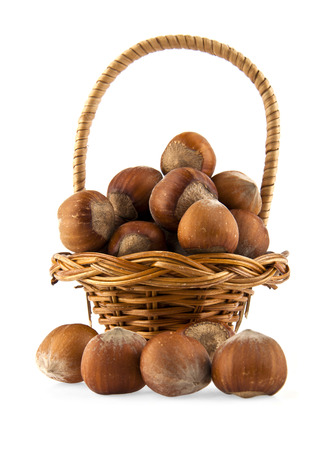 hazel-nuts on a white backgroundの写真素材