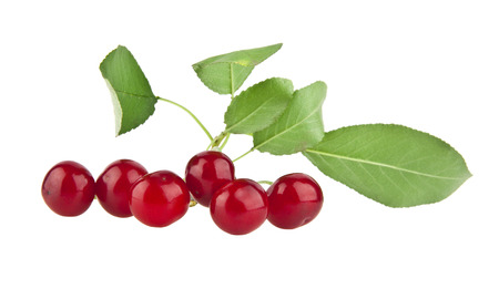 cherry isolated on white background