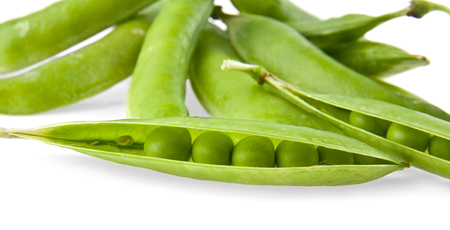 green pea on a white backgroundの写真素材