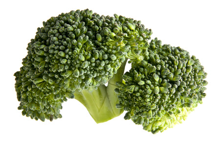 fresh broccoli isolated on a white background closeupの写真素材