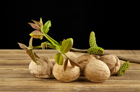 walnuts on black background closeupの写真素材
