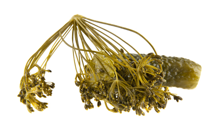 pickled cucumber isolated on white background closeupの写真素材