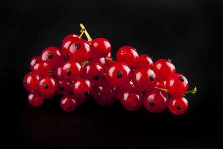 red currant berries on a black background closeupの写真素材