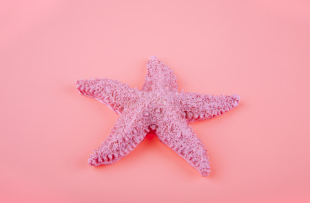 pink starfish on pink background closeupの写真素材