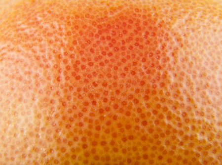 texture of orange grapefruit skin as backgroundの写真素材