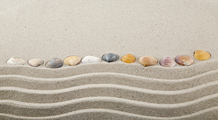 Seashells on sand for relaxation as backgroundの写真素材