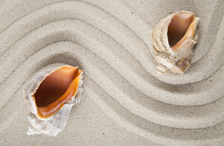 Seashells on sand for relaxation as backgroundの写真素材