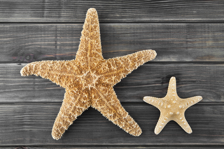 sea stars on a wooden backgroundの写真素材