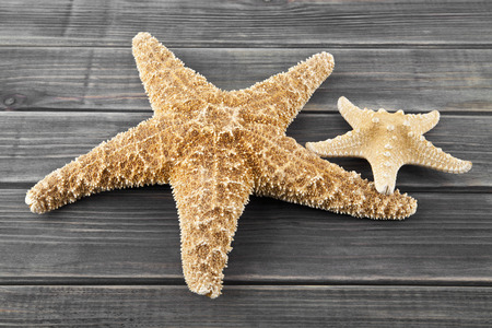 sea stars on a wooden backgroundの写真素材