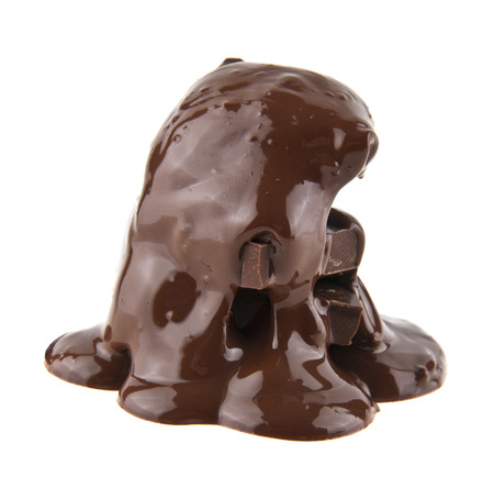 chocolate isolated on white backgroundの写真素材