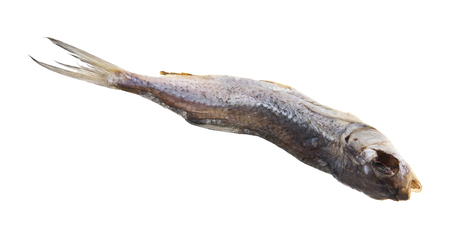 dried dried fish isolated on white backgroundの写真素材