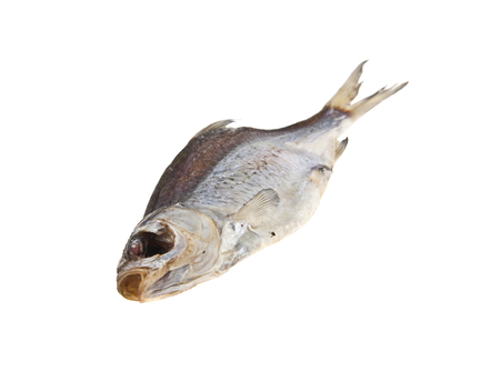 dried dried fish isolated on white backgroundの写真素材