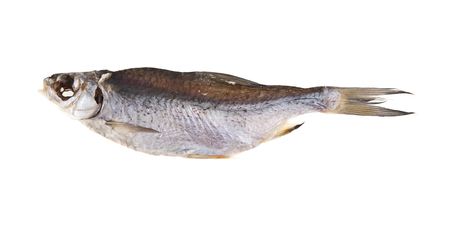 Cured fish isolated on white backgroundの写真素材