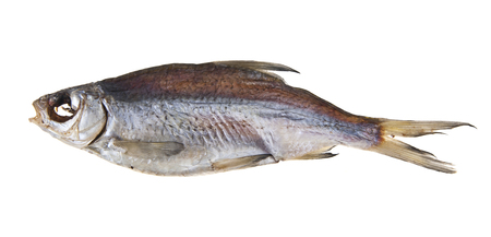 dried dried fish isolated on white backgroundの写真素材