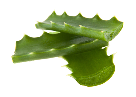 aloe isolated on white background closeupの写真素材