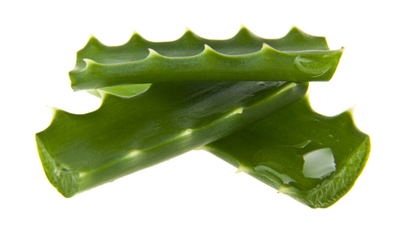 aloe isolated on white background closeupの写真素材