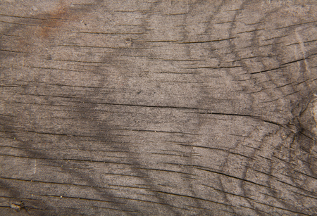 wooden texture as backgroundの写真素材