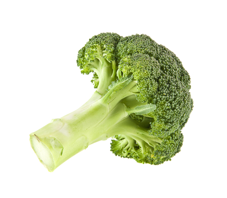 broccoli isolated on white background closeupの写真素材