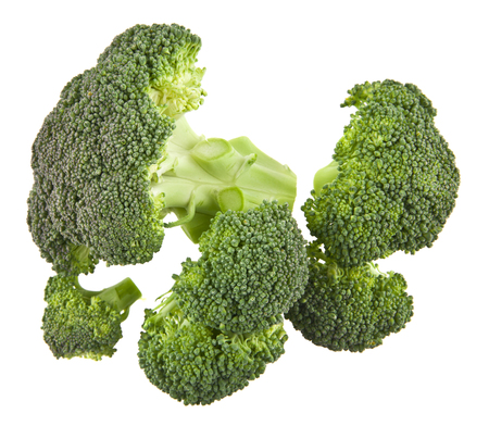 broccoli isolated on white backgroundの写真素材
