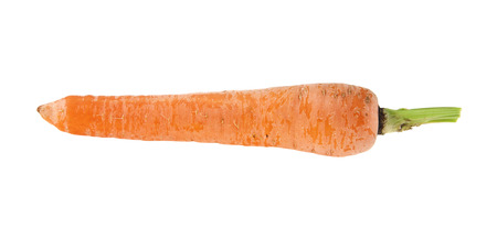 carrot isolated on white background closeupの写真素材