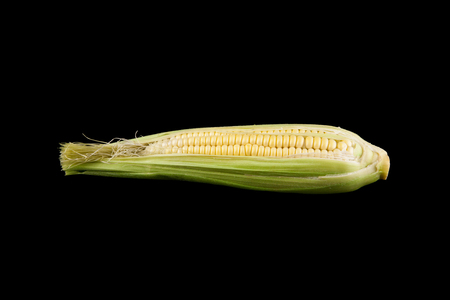 corn on a black backgroundの写真素材