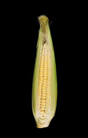 corn on a black backgroundの写真素材